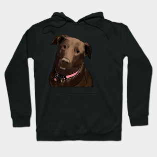 Chocolate Lab Hoodie